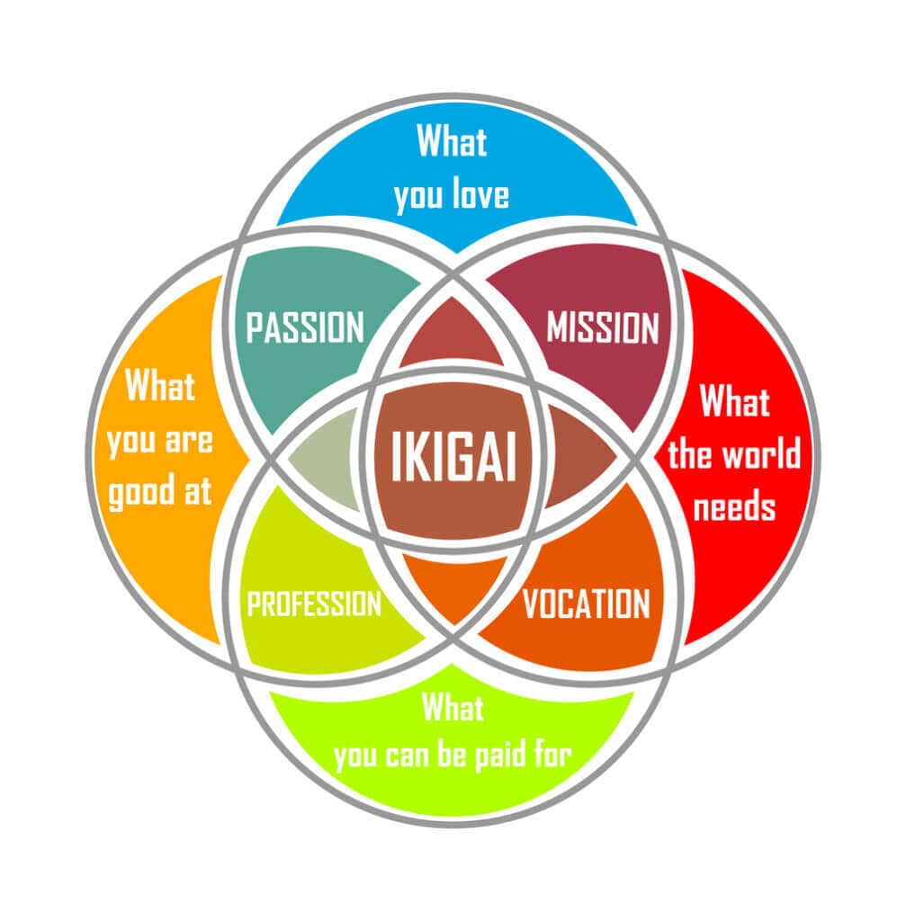 Creating social impact is easier with an  Ikagai mindset